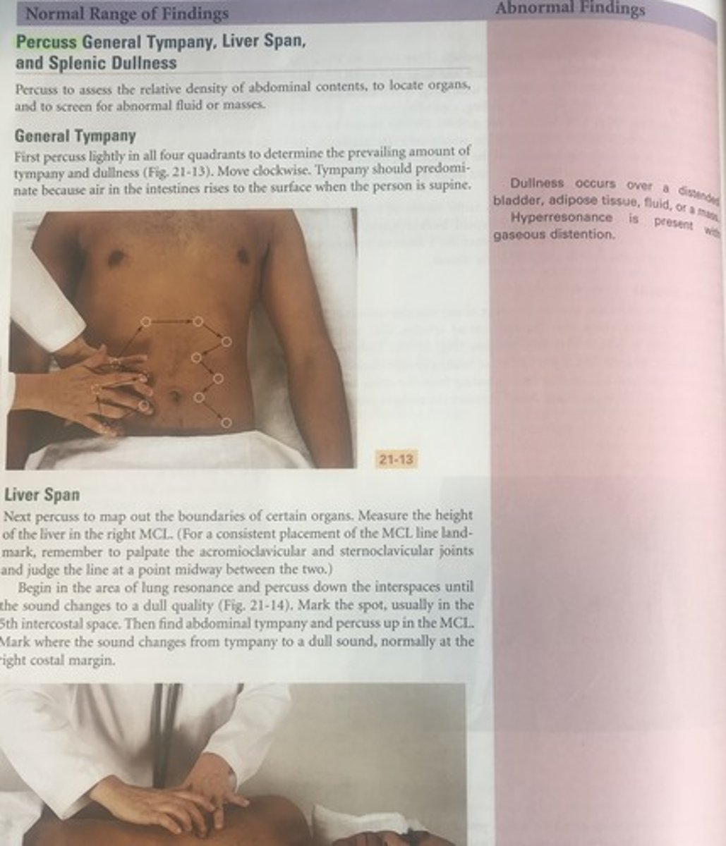 <p>B</p><p>Tympany should predominate in all four quadrants of the abdomen because air in the intestines rises to the surface when the person is supine. Vascular bruits are not usually present. Normally, the spleen is not palpable. Dullness would not be found in the area of lung resonance (left upper quadrant at the midclavicular line).</p>