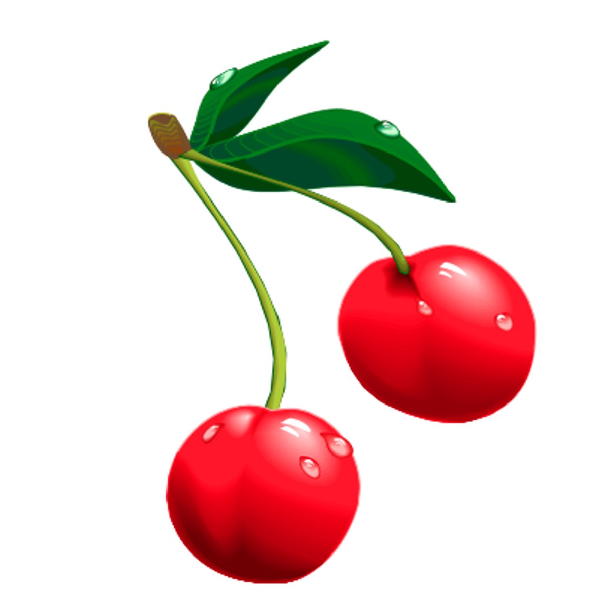 <p>cherry</p>