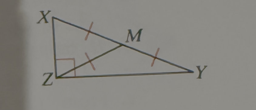 <p>What can you conclude about point M</p>