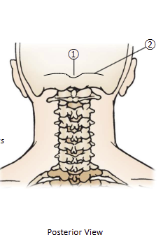 <p>1</p>