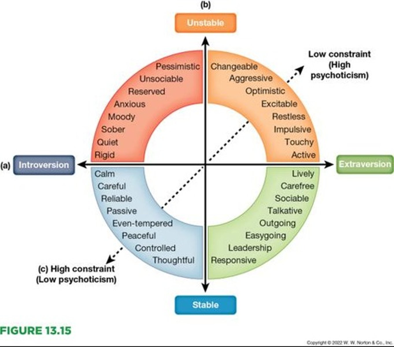 <p>Eysenck developed the biological trait theory, proposing that personality traits had two major dimensions: how outgoing people were and whether their emotions tended to be stable or unstable.</p>