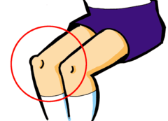 knee
