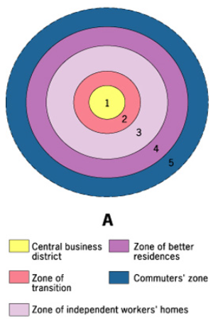 <p>Land Use Pattern</p><ul><li><p>Most wealthy people living the furthest from the CBD (they didn’t want to be near the pollution) </p></li></ul><p>Outdated because the industrial area has become smaller and been pushed outside of the inner rings of the city</p>
