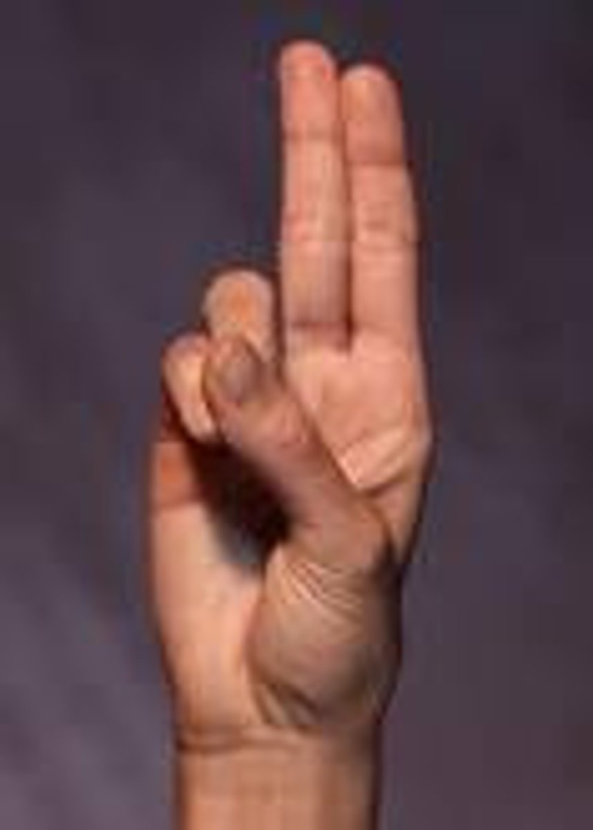 <p>Ring and little finger are folded against the palm, held down by thumb, index and middle finger are straight and together.</p>