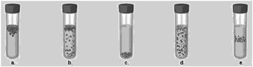 <p>In figure 6.3, which tube shows the expected growth patterns for a microaerophile?</p>
