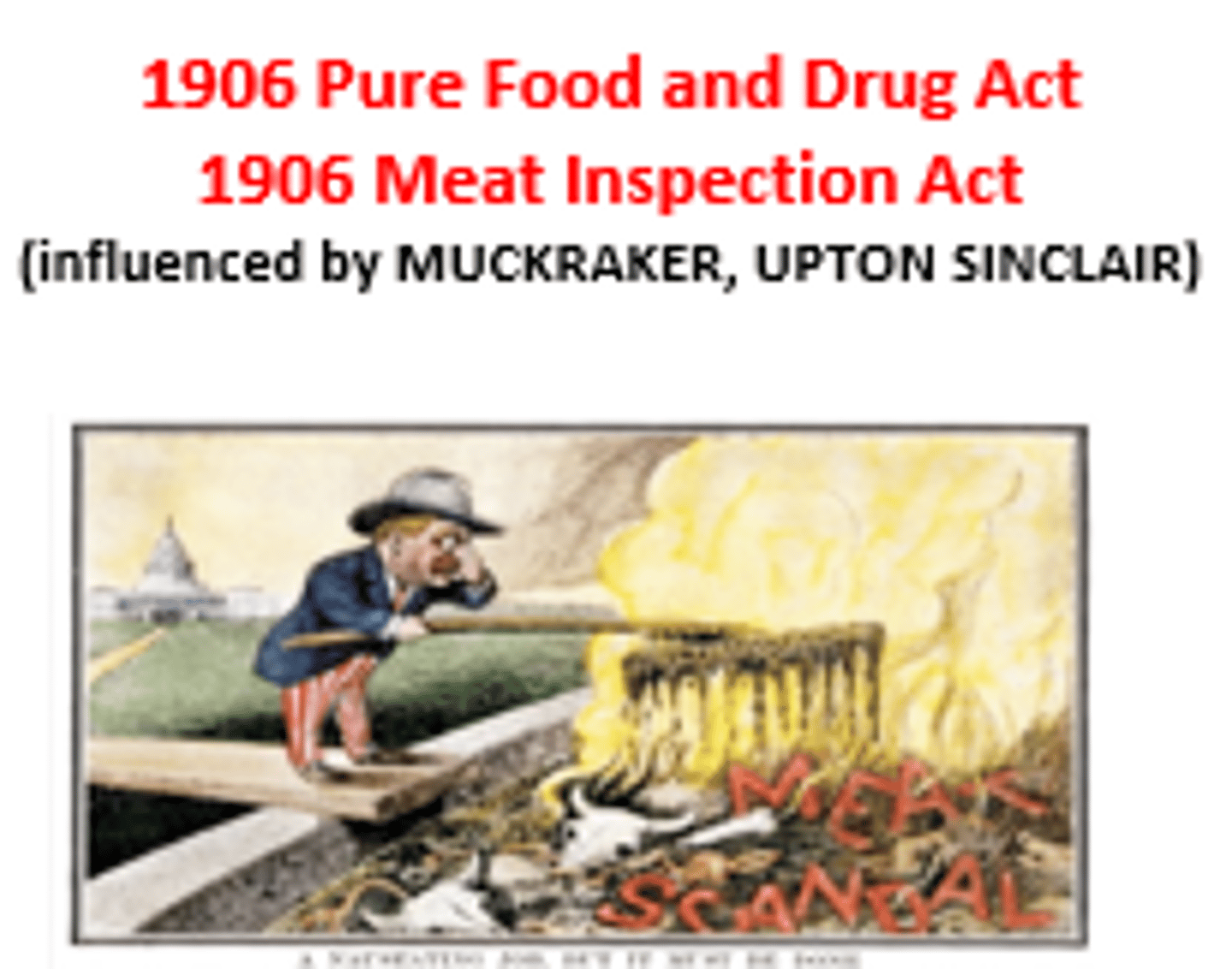 <p>After Upton Sinclair's The Jungle, the public demanded action. Meat Inspection Act in 1906 regulated the meatpacking industry (until the 1990s). Pure Food and Drug Act in 1906 halted sale of contaminated food and medicines and called for truth in labeling.</p>