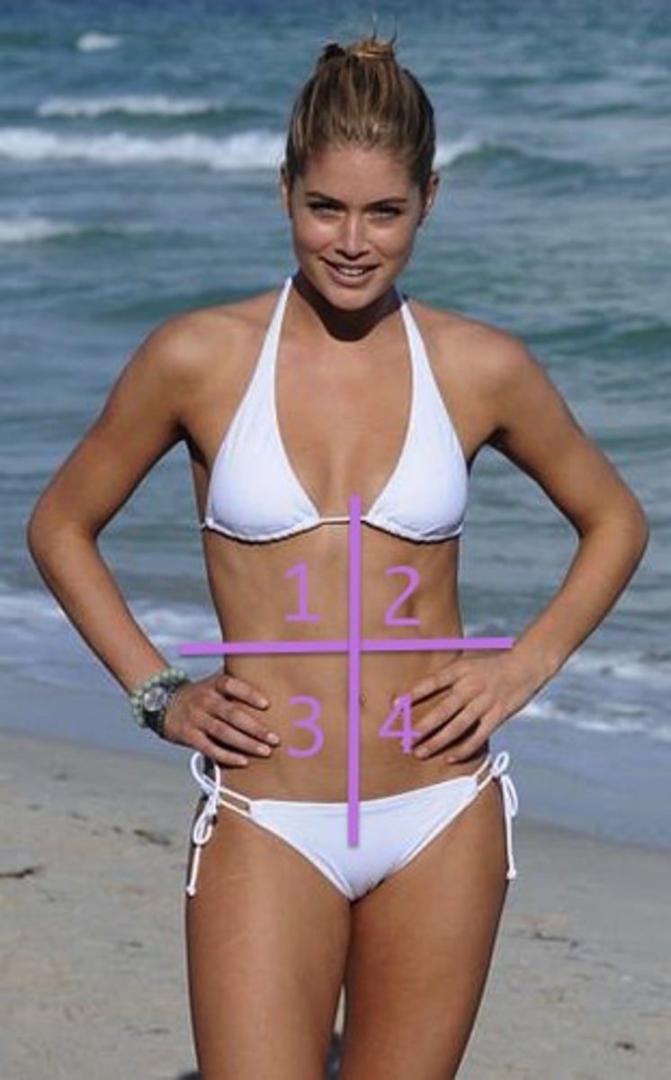 <p>One of 4 abdominal quadrants - #3 in pic</p>