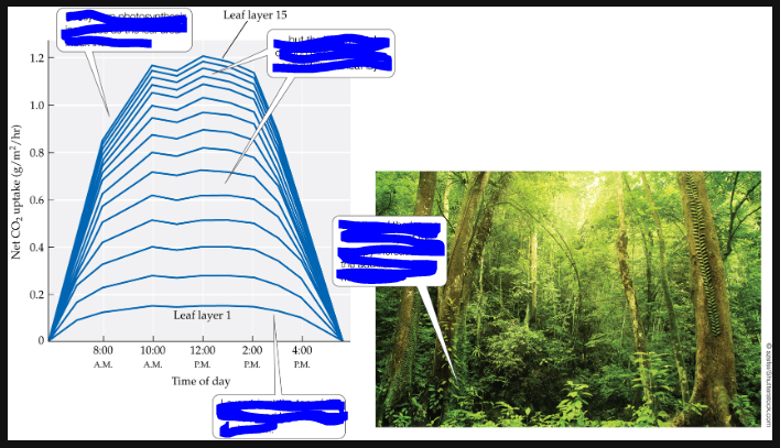 <p>what is labeled?</p>