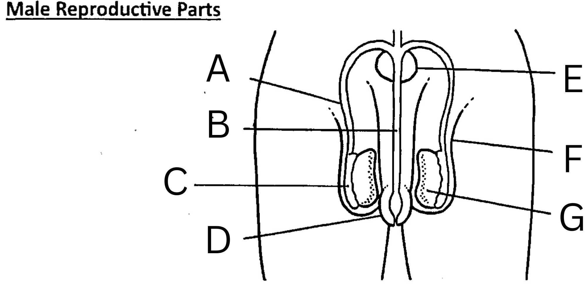 <p>What is C on the diagram?</p>