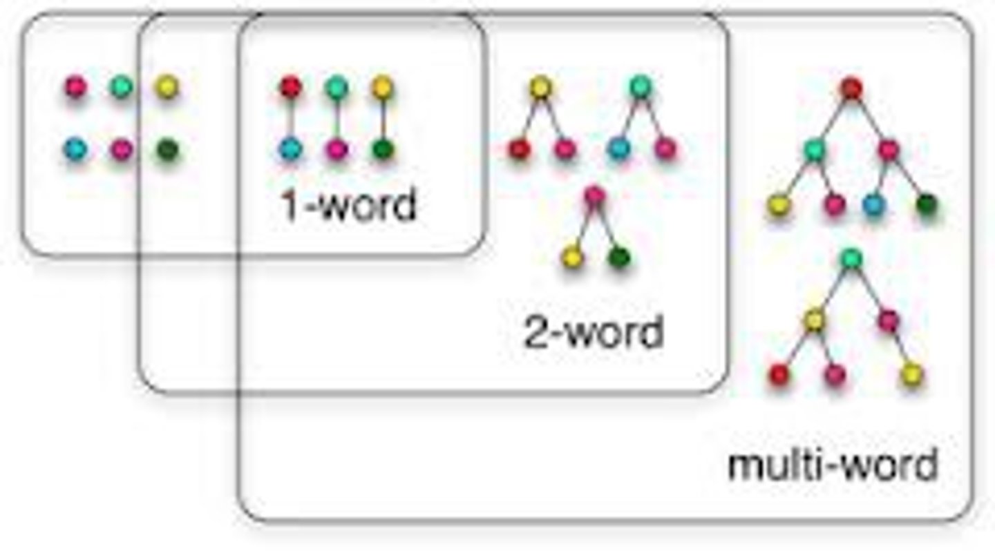 <p>the stage in which children speak mainly in single words</p>