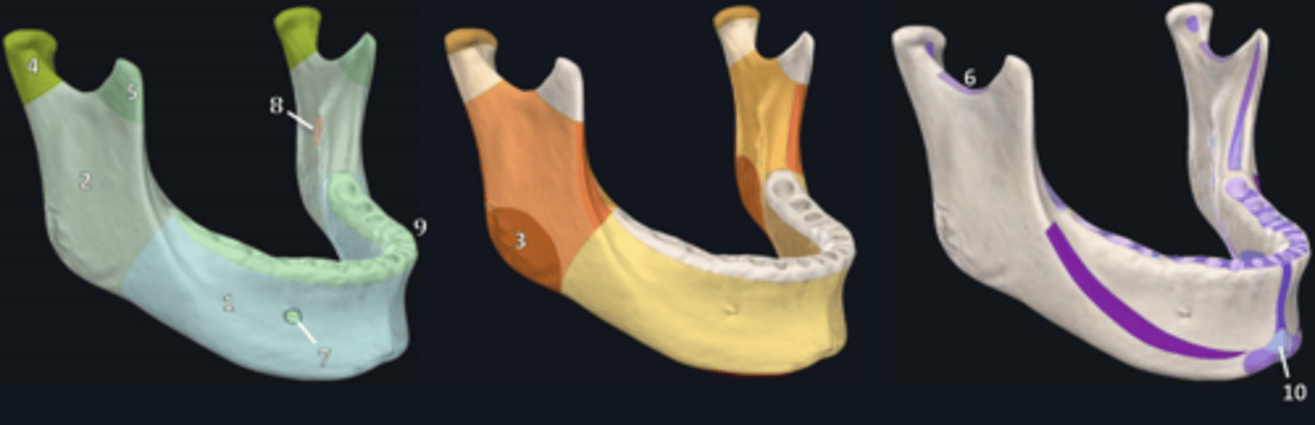 <p>3</p>