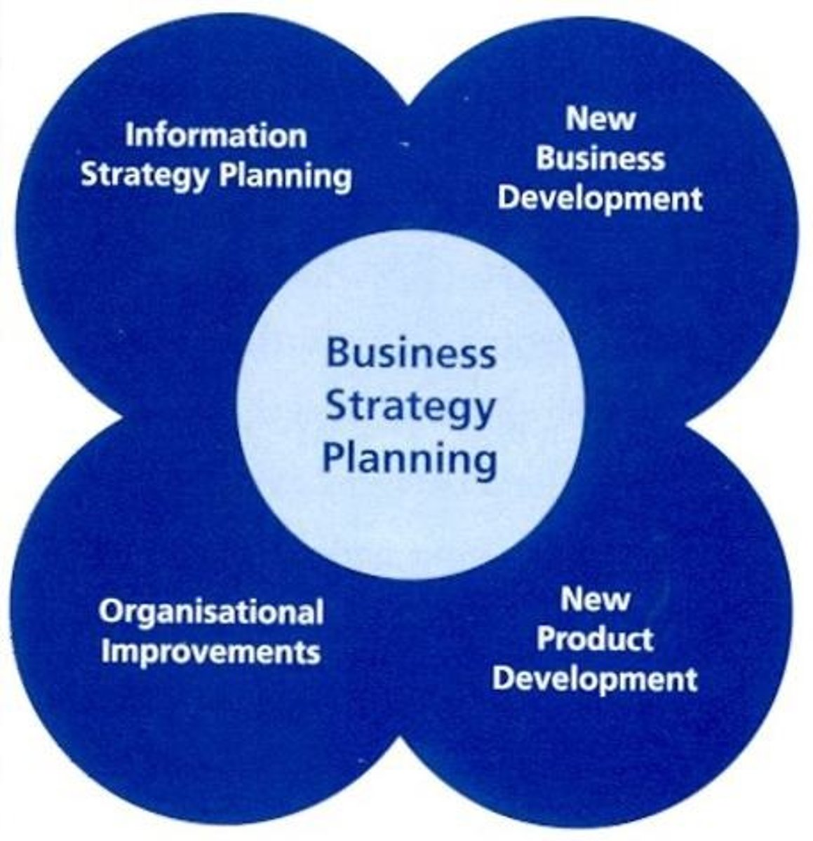 <p>The process that an organization employs to make decisions about its business direction.</p>