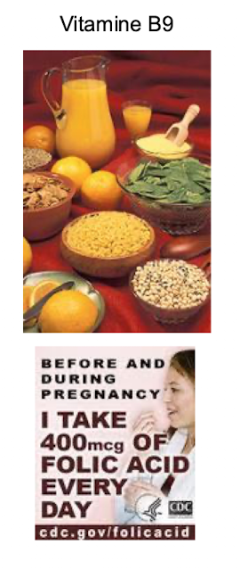 <p>→ une alimentation équilibrée <span>⇒ faire attention à la nutrition </span><br><span>→ vitamine B9</span><br><span>→ acide folique </span></p>