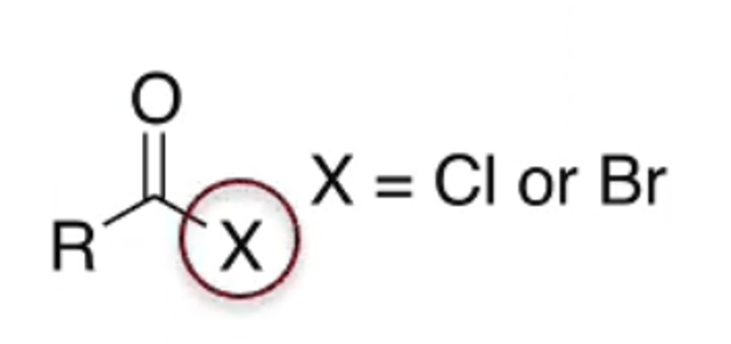 <p>Cl or Br bonded to the C</p>