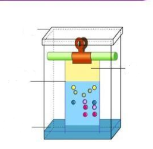 <p>Label this diagram:</p>