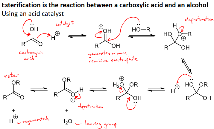 <ul><li><p>carboxylic acid + alcohol = ester + water </p></li><li><p>uses an acid catalyst</p></li><li><p>All steps are reversible however so there are two ways to push the equilibrium towards ester formation: 1) use excess alcohol and 2) remove water from reaction mixture as it is formed </p></li><li><p>acid H+ catalyst reacts with carboxylic to make a reactive electrophile that reacts with the alcohol, then the ROH group is deprotonated, the other OH group reacts with H+ to form H2O+ on the molecule, lone pair from the other OH is moved to this H2O, which is our leaving group </p></li><li><p>the proton attached to the O on the newly formed C=O bond is then removed and this is the regeneration of our catalyst</p></li></ul><p></p>