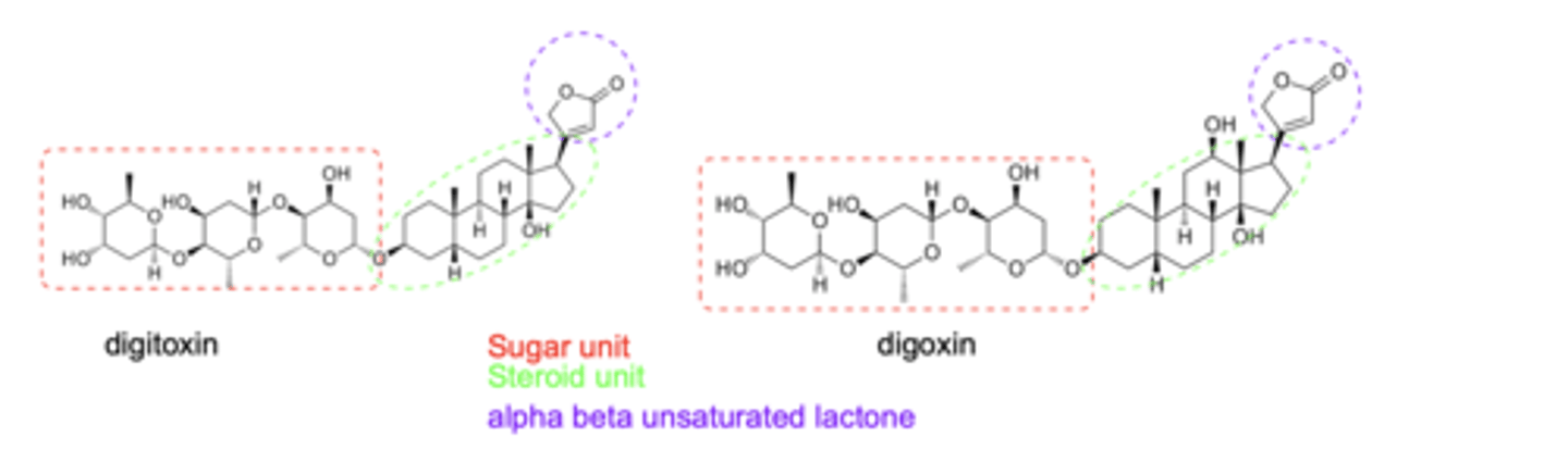 <p>sugar unit (at C-3), a steroidal core, and an α,β-unsaturated lactone ring</p>