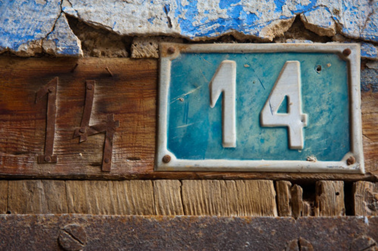 <p>14</p>