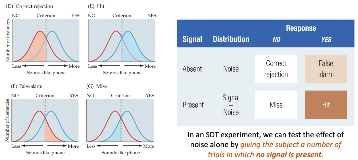 <ul><li><p>in STD experiment, can test effect of noise alone by giving subj a num of trials in which no signals present </p><ul><li><p>can show how sensitive participants r to noise </p></li></ul></li></ul>