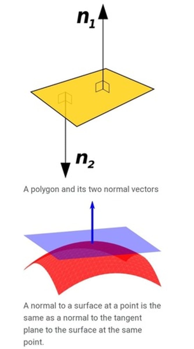 <p>An imaginary line perpendicular to the boundary at the point of incidence.</p>