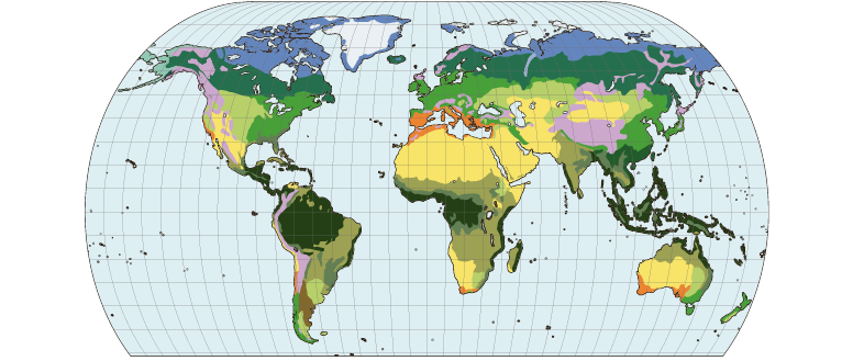 <p><strong>Značilne skupine rastlinstva</strong></p><p>Poimenuj označene skupine rastlinstva.</p>