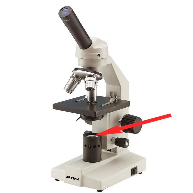 <p>Where is this in the microscope?</p>
