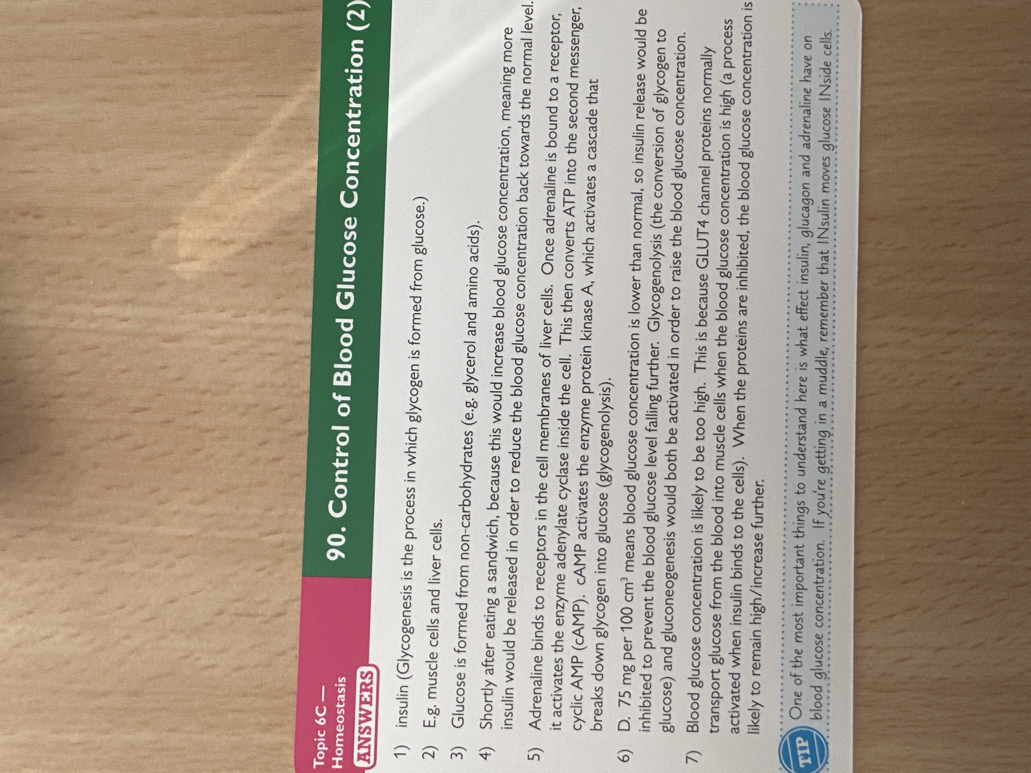 knowt flashcard image