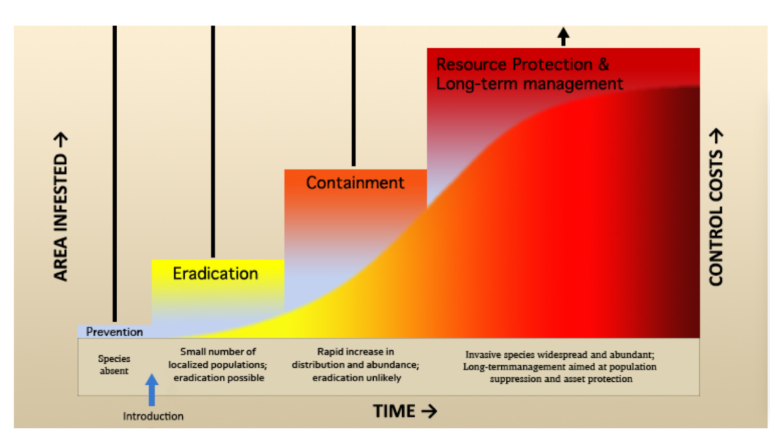 <p>Illustrates the stages of invasive species management, from pre-arrival to long-term control.</p>