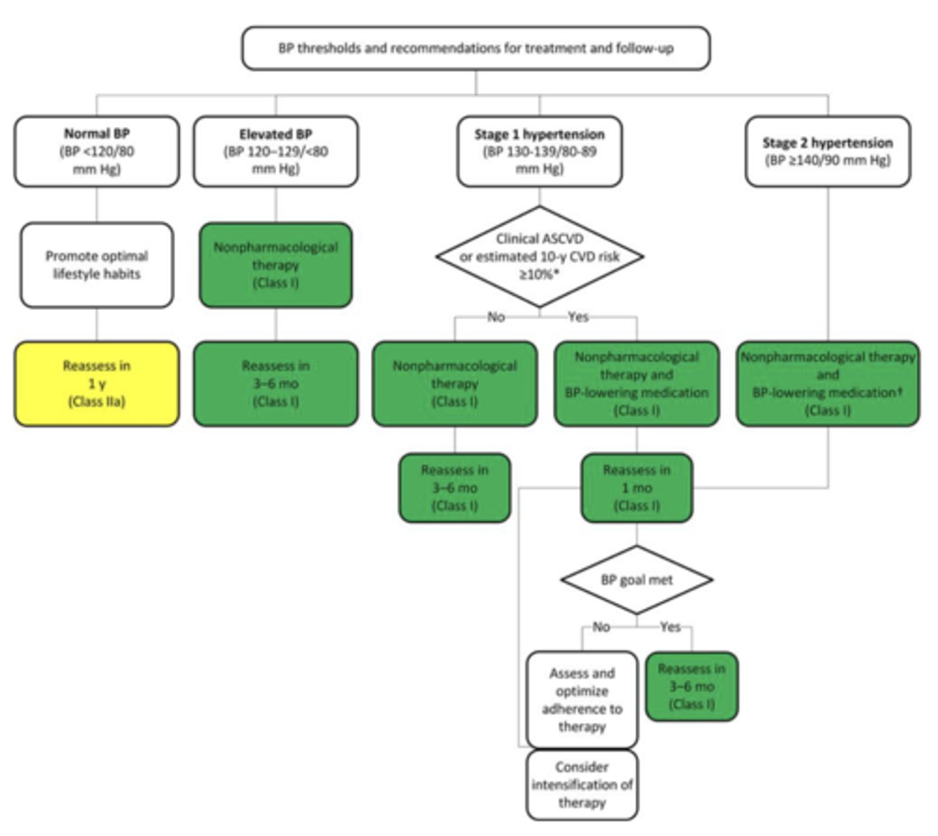 <p>flow chart that represents stepwise procedures for clinical decision making and management of a clinical problem</p>