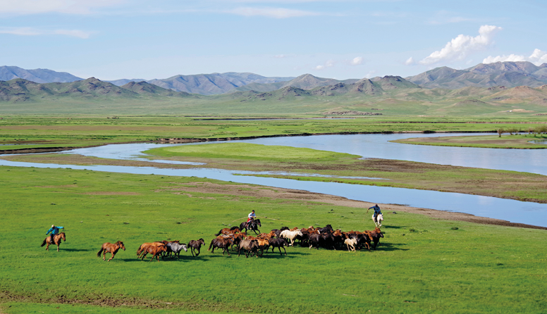 <p><strong>Značilne skupine rastlinstva</strong></p><p>Opiši rastlinstvo na sliki.</p>
