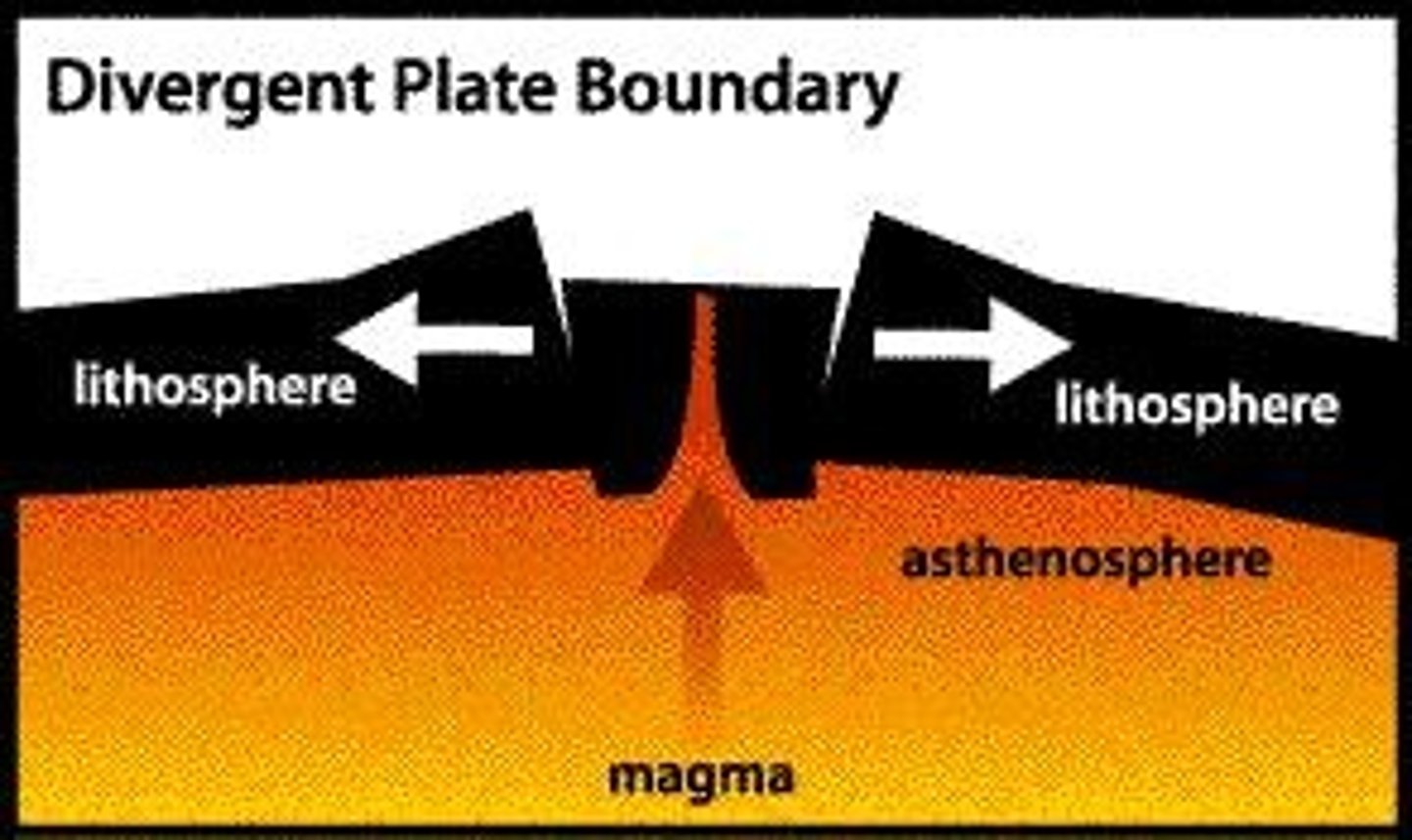 <p>A plate boundary where two plates move away from each other.</p>