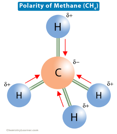 <p>nonpolar because C-H bonds have similar EN; bonus explanation: C is .37 more EN than H, so C pulls H towards it, giving C a + charge and H a - charge. The difference in charge makes the molecule polar. BUT symmetry CANCELS ALL DIPOLE MOVEMENT (also w/ carbon tetrachloride, CO2)</p>