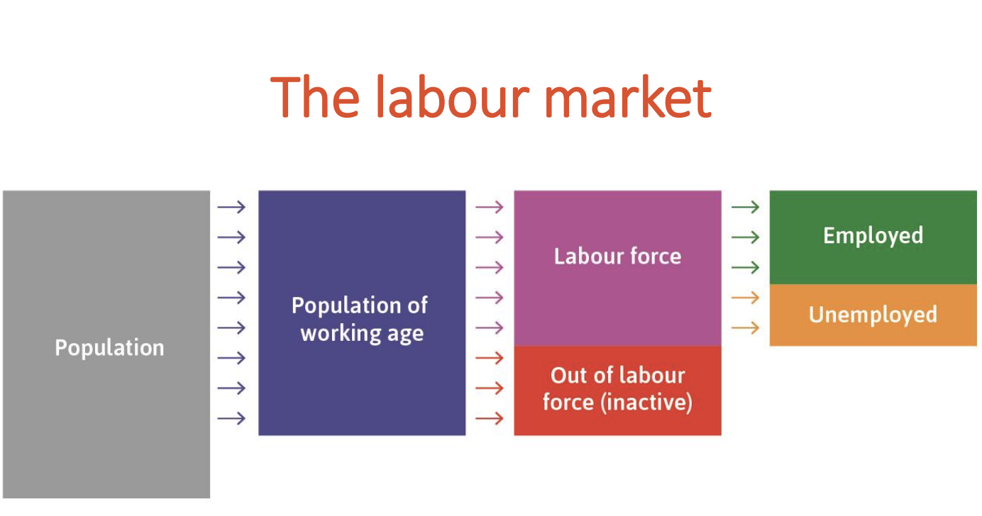 <p>Population→Population of working age→Labor force &amp; out of labor force→Employed &amp; unemployed</p>