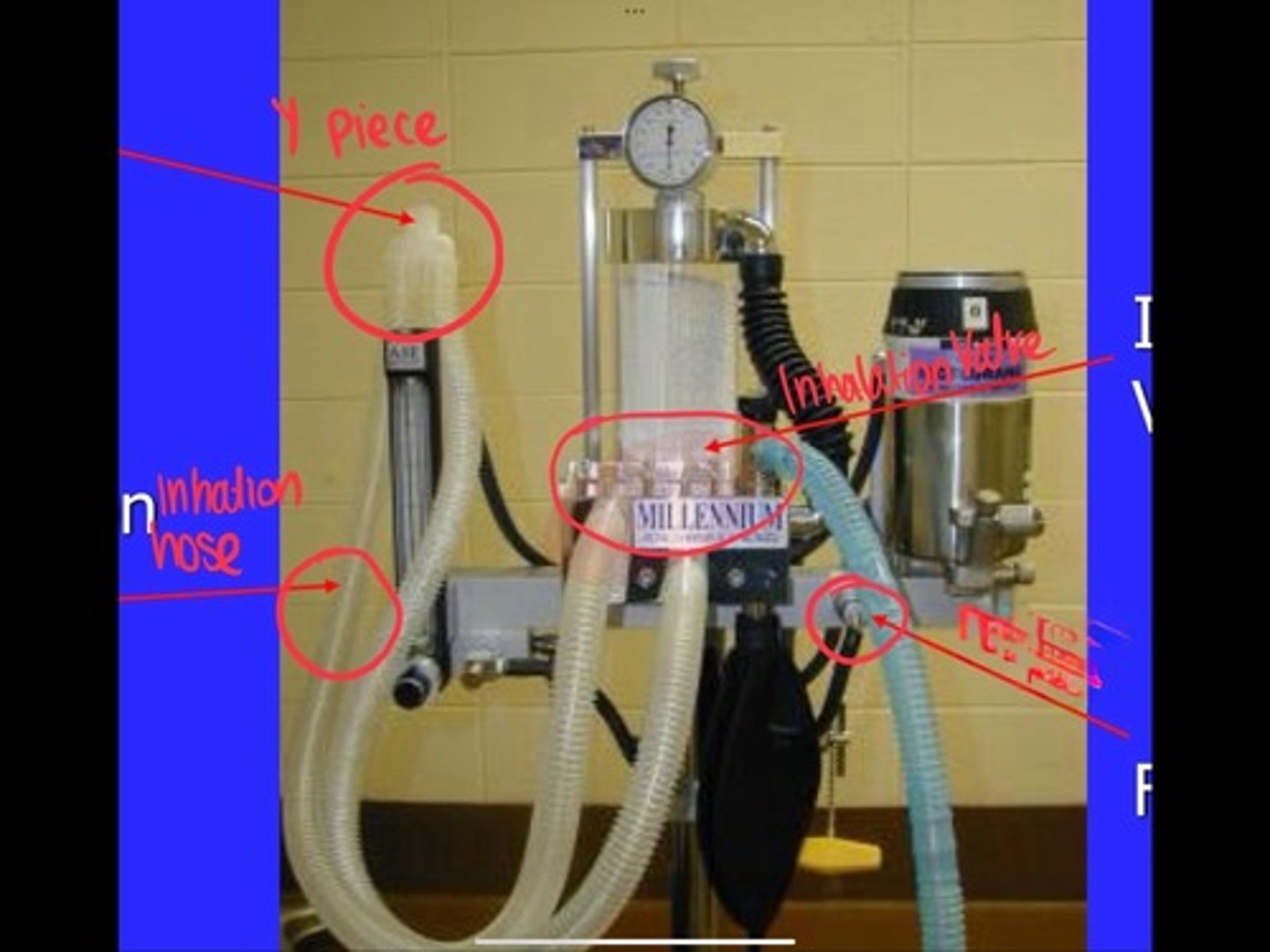 <p>delivers gas to the patient</p><p>attatched to Y piece</p>