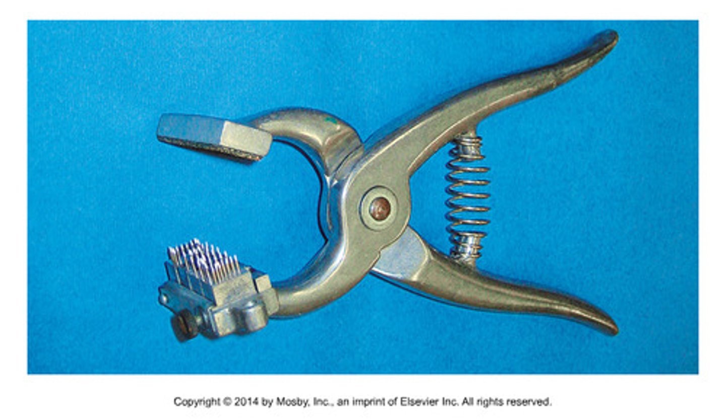 <p>to identify an animal permanently by placing numbers or letters inside the ear, lip, or thigh</p>