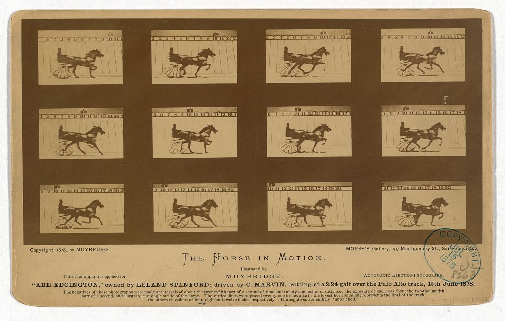 <p>The Horse in Motion</p>