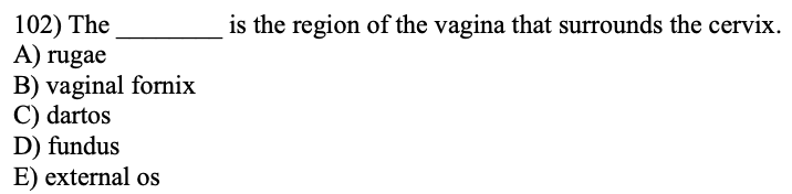 term image
