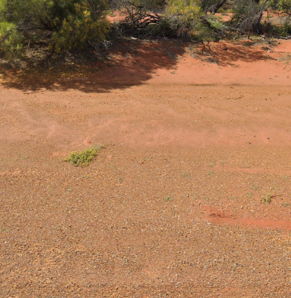 <p>Which Australian state usually has reddish-orange soil?</p>