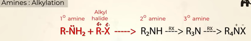 <p>when you keep adding R—X you get primary, sec, tertiary amines followed by a diazonium salt </p>