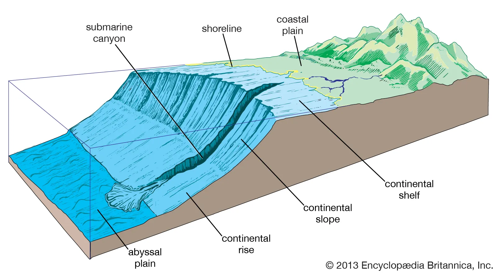 <p>Continental Slope and Submarine Canyons </p>