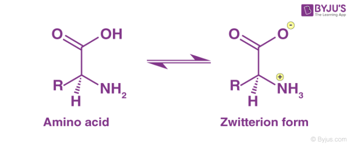 <ul><li><p>Ionic</p></li><li><p>Basic</p></li><li><p>Soluble</p></li></ul>