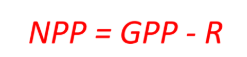 <p>Net primary productivity (NPP)</p>