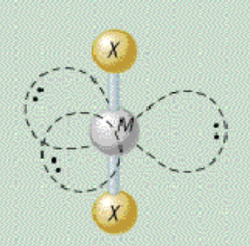 <p>AX₂E₃ bond angle</p>