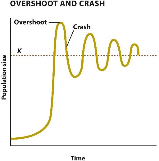 <p>overshoot</p>