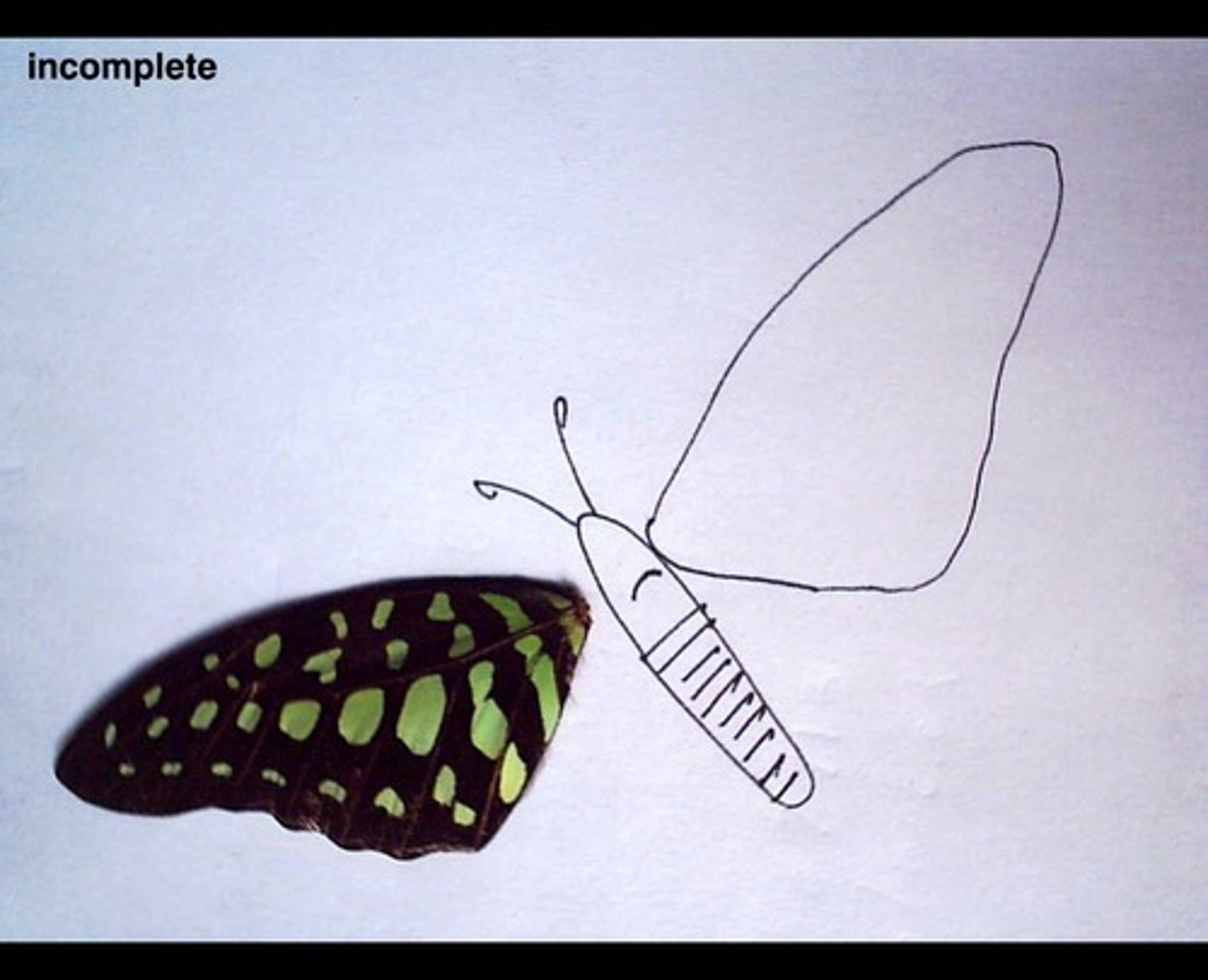 <p>Pérdida o alteración de una estructura o función de carácter anatómico, fisiológico o psicológico que pueden ser permanente o temporales, innatas o adquiridas y reversibles o irreversibles. En cualquier caso, implican un trastorno orgánico que conlleva una limitación en el funcionamiento de la vida de una persona.</p>