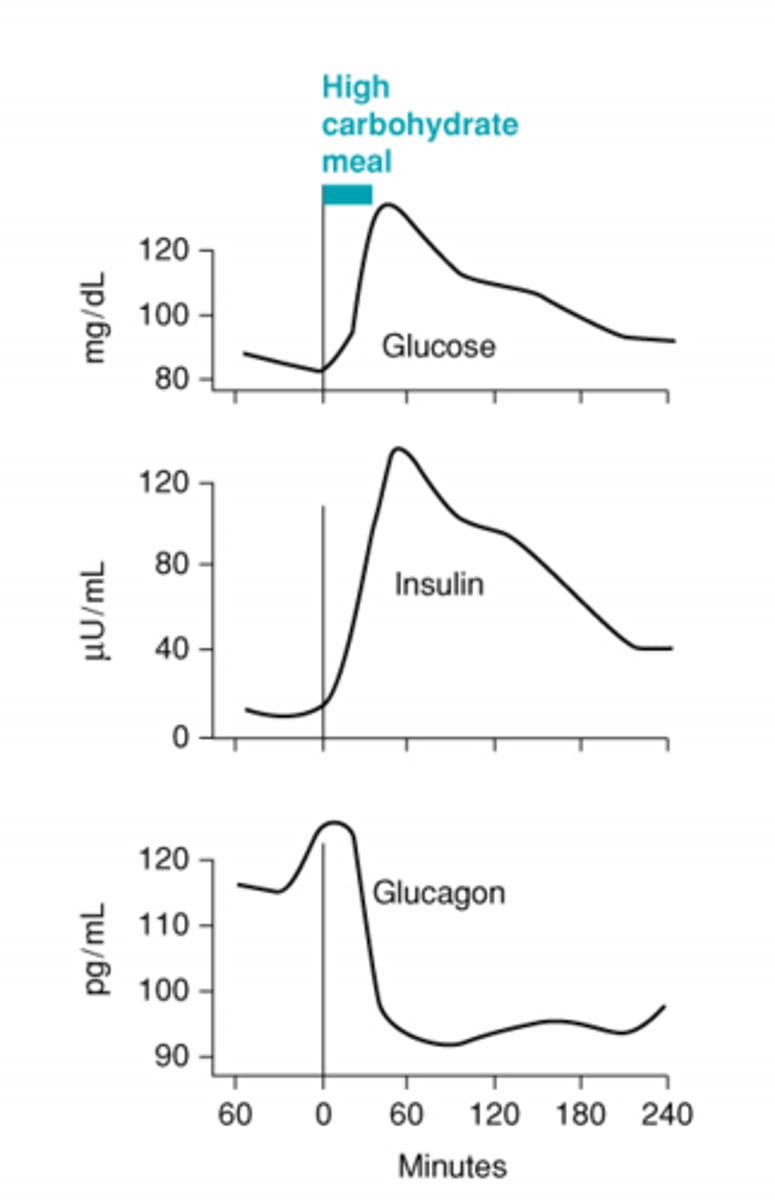 <p>Often by negative feedback loops;</p><p>1: The brain's neurons receives information from the body</p><p>2: It recognizes changes in homeostasis and regulates the cells, circulation etc...</p><p>An organism needs to have a combating system against all passive flows to maintain homeostasis.</p>