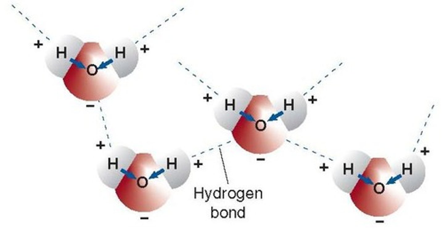 <p>Attraction between water molecules keeps it liquid.</p>