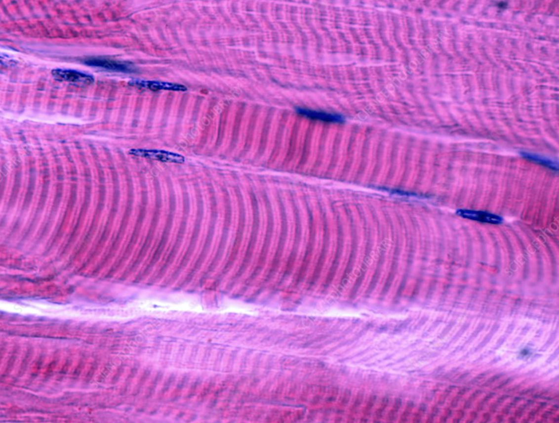 <p>What is this?</p>