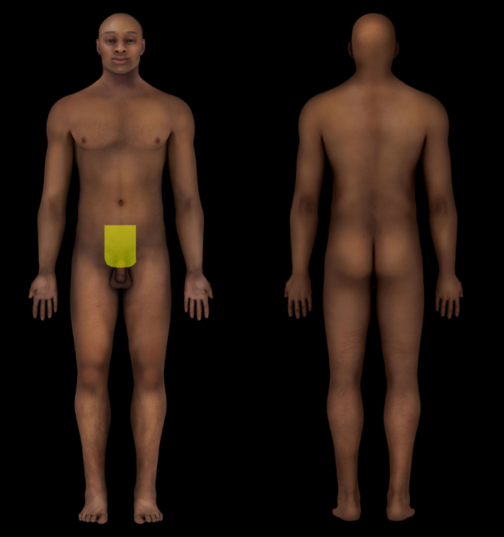 term image