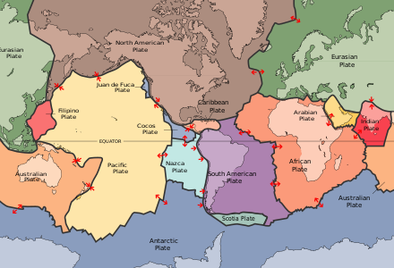 <p>African, Antarctic, Eurasian, Indo-Australian, North American, Pacific and South American.</p>